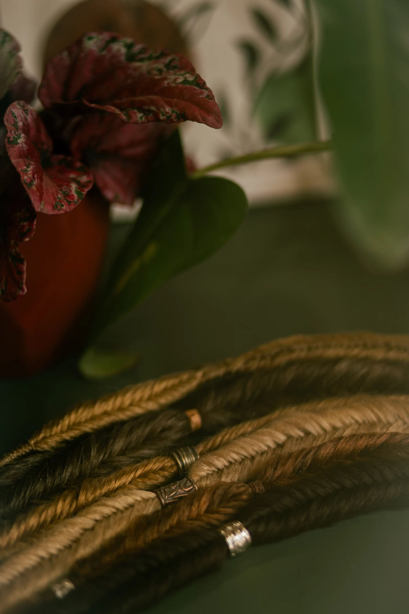 Trança Escama de Peixe - Imagem 2